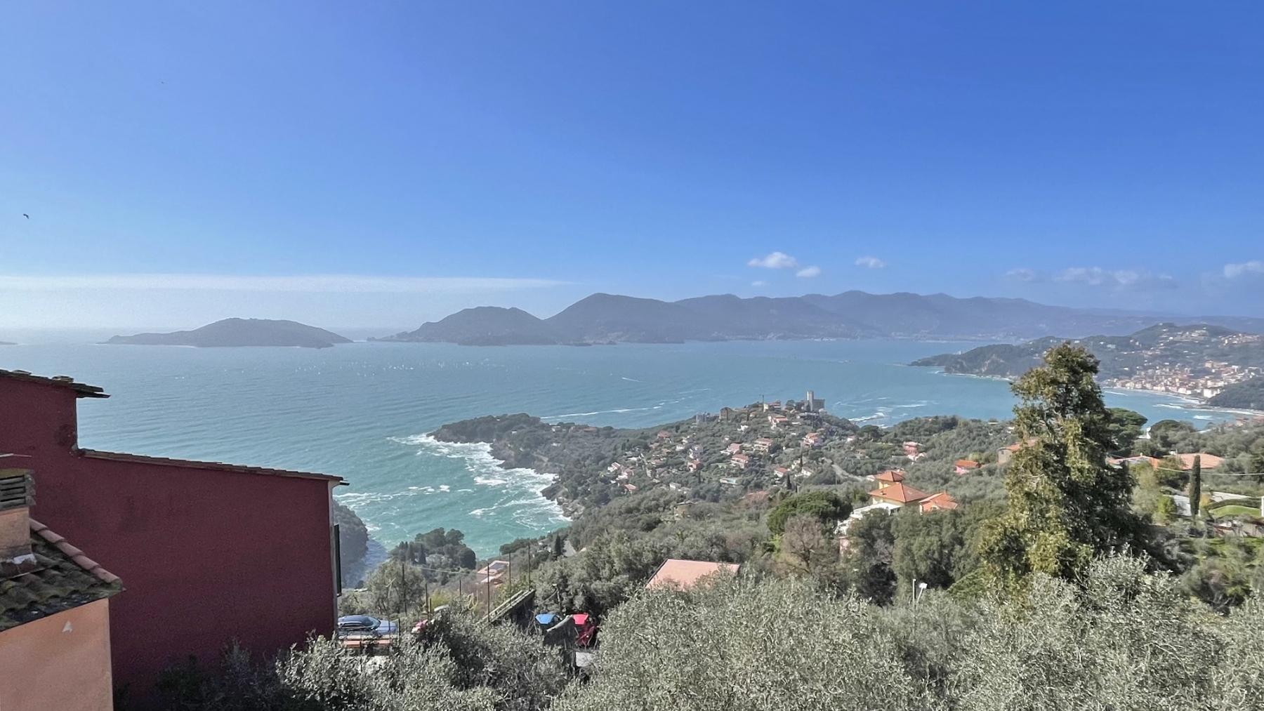 Ulivi e vista mare