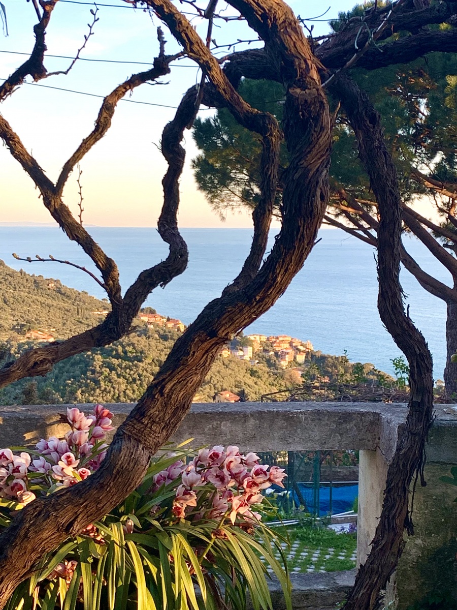 Casa Møjn con giardino e vista mare