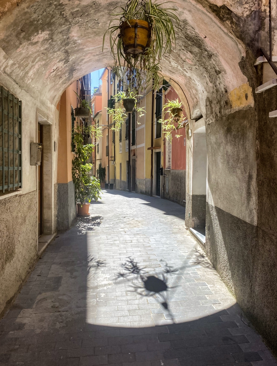 Santerenzo-2023-carrugio-con-ombra-1434-copia