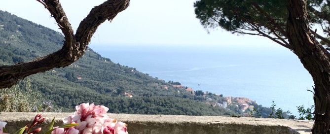 Con giardino e vista mare